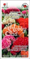 Цветы Целозия Коралловый сад  (0,2 г) Сотка