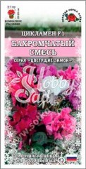 Цветы Цикламен Бахромчатый смесь (3 шт) Сотка