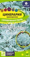 Цветы Цинерария Белеющая (0,1 г) Семена Алтая