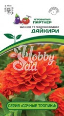 Цветы Цинния "Сочные тропики" Дайкири F1 георгиновидная (4 шт) Партнер 