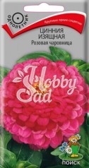 Цветы Цинния Розовая чаровница изящная (0,4 г) Поиск