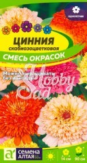 Цветы Цинния Скабиозоцветковая Смесь окрасок (0,3 г) Семена Алтая