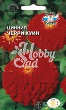 Цветы Цинния Черри куин (0,5 г) Седек