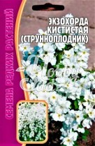 Цветы Экзохорда кистистая (струнноплодник) (7 шт) ЭКЗОТИКА