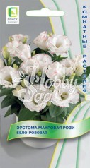Цветы Эустома Рози Бело-Розовая махровая (5 шт) Поиск Комнатные