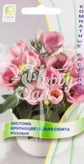 Цветы Эустома Сюита Розовая крупноцветковая (5 шт) Поиск Комнатные