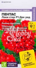Цветы Пентас Лаки стар F1 Дак ред ланцетовидный (3 шт) Семена Алтая