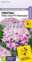 Цветы Пентас Лаки стар F1 Лавендер ланцетовидный (3 шт) Семена Алтая
