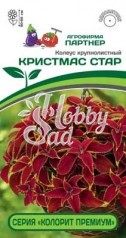 Цветы Колеус Кристмас Стар шлемниковидный серия "Колорит Премиум"(5 шт) Партнер НОВИНКА 2024