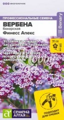 Цветы Вербена Финесс Апекс бонарская (5 шт) Семенга Алтая