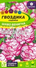 Цветы Гвоздика Шабо Бенигна садовая (0,1 г) Семена Алтая