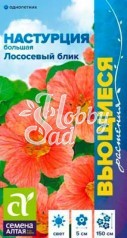 Цветы Настурция Лососевый Блик большая Вьющаяся (0,5 гр) Семена Алтая