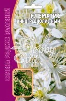 Цветы Клематис Виноградолистный (7 шт) ЭКЗОТИКА