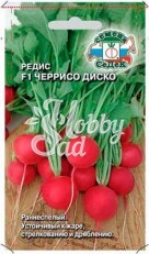 Редис Черрисо Диско F1 (1 г) Седек